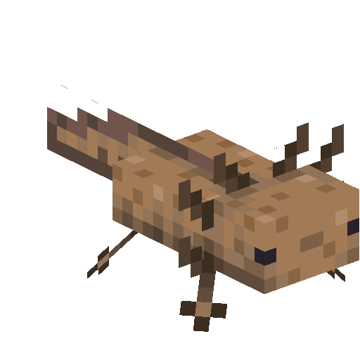 Axolotl