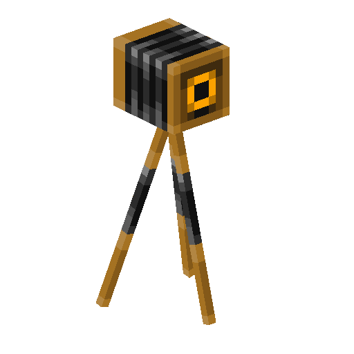 Minecraft Camera